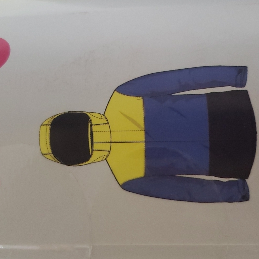 Lily & Dan children's winter jacket NWT - 3T - Picture 4 of 8